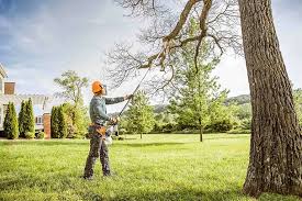 Best Landscape Design and Installation  in Brielle, NJ