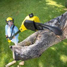 Best Aeration Services  in Brielle, NJ